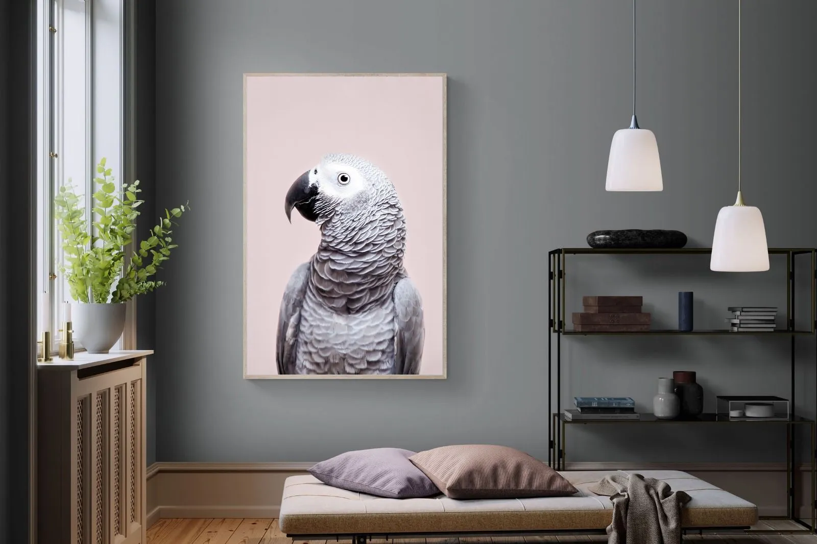 African Grey