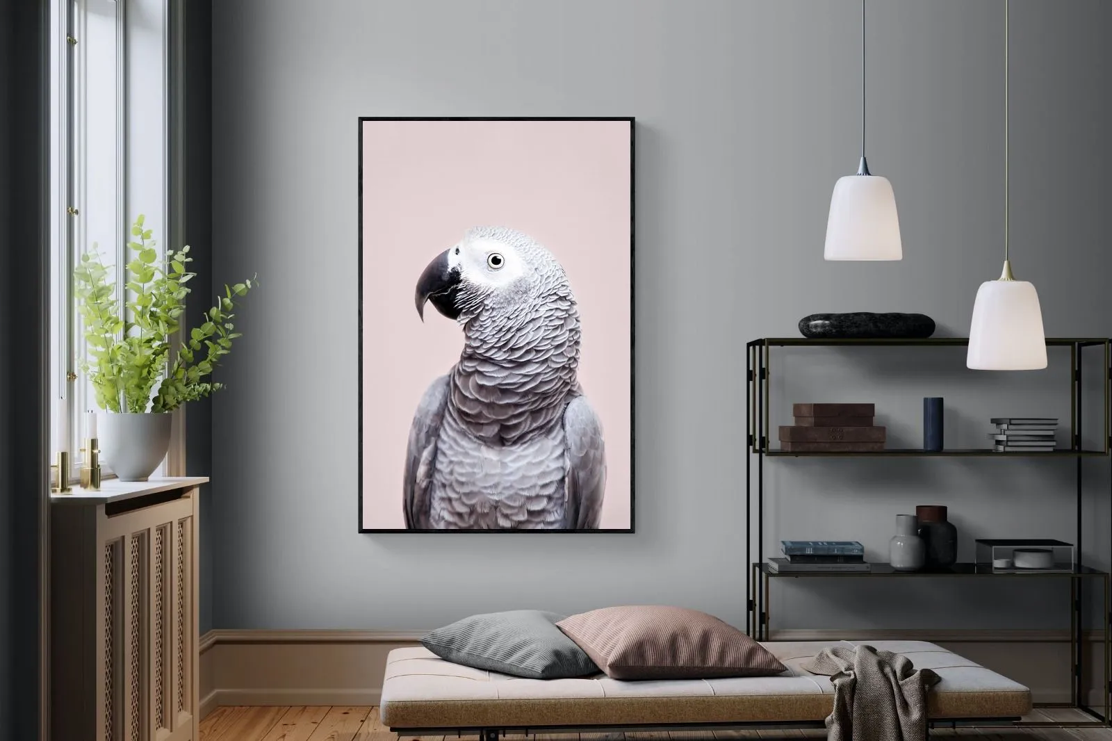 African Grey