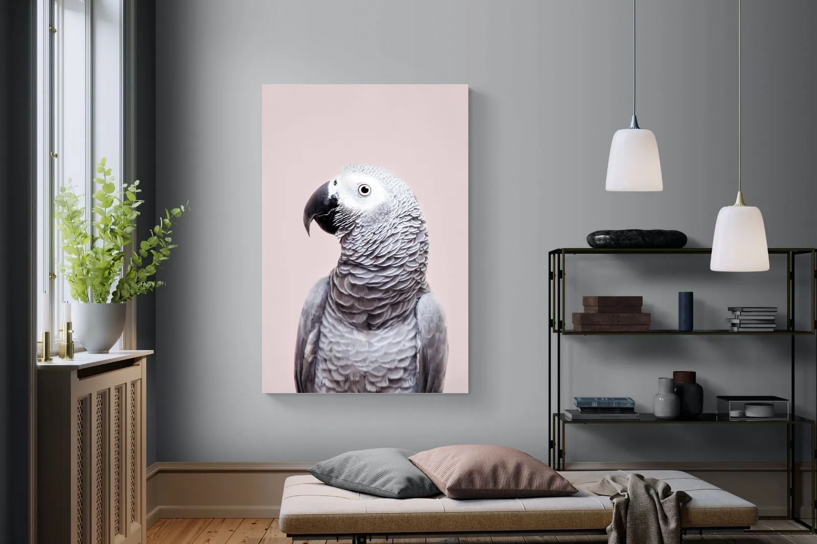 African Grey