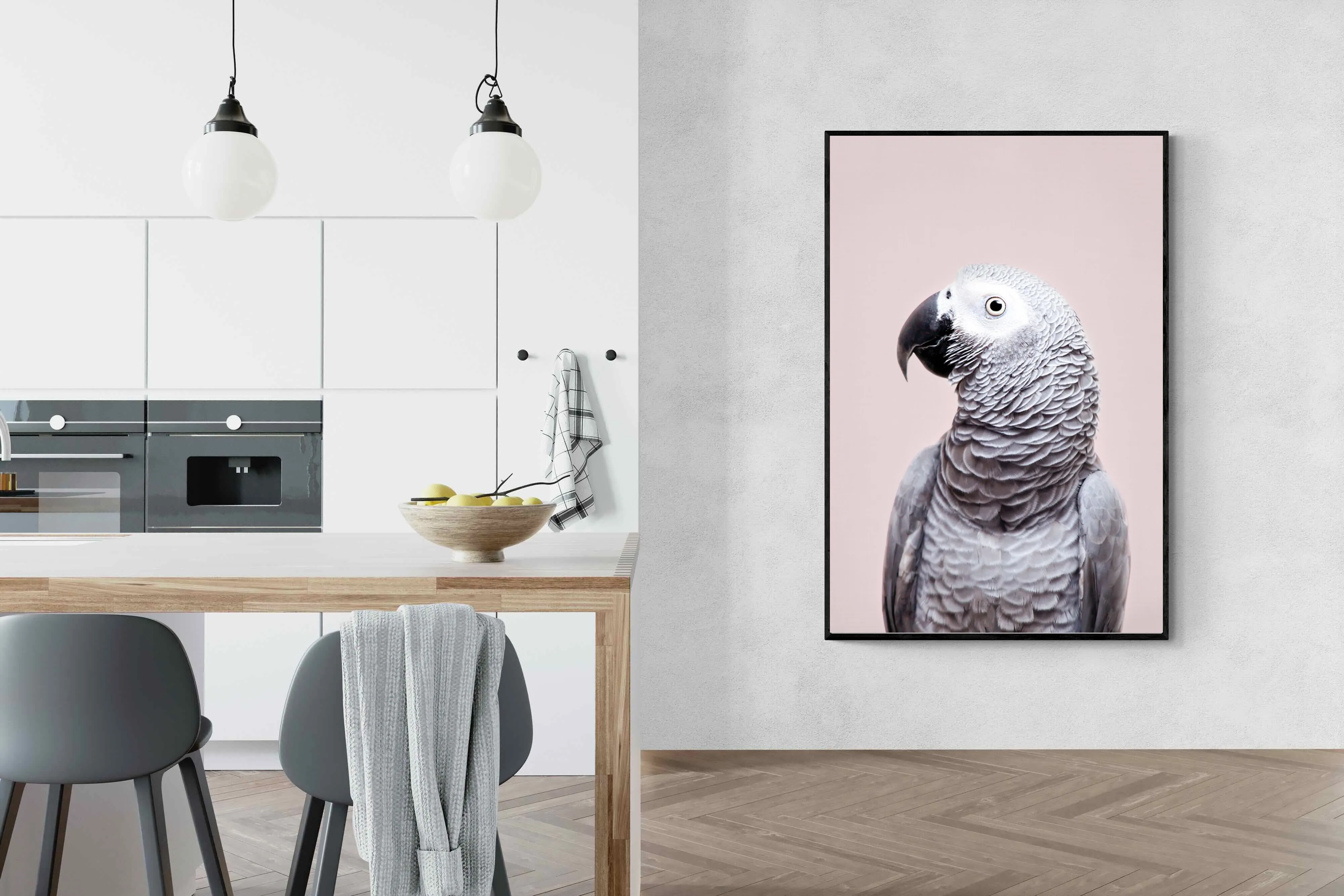 African Grey