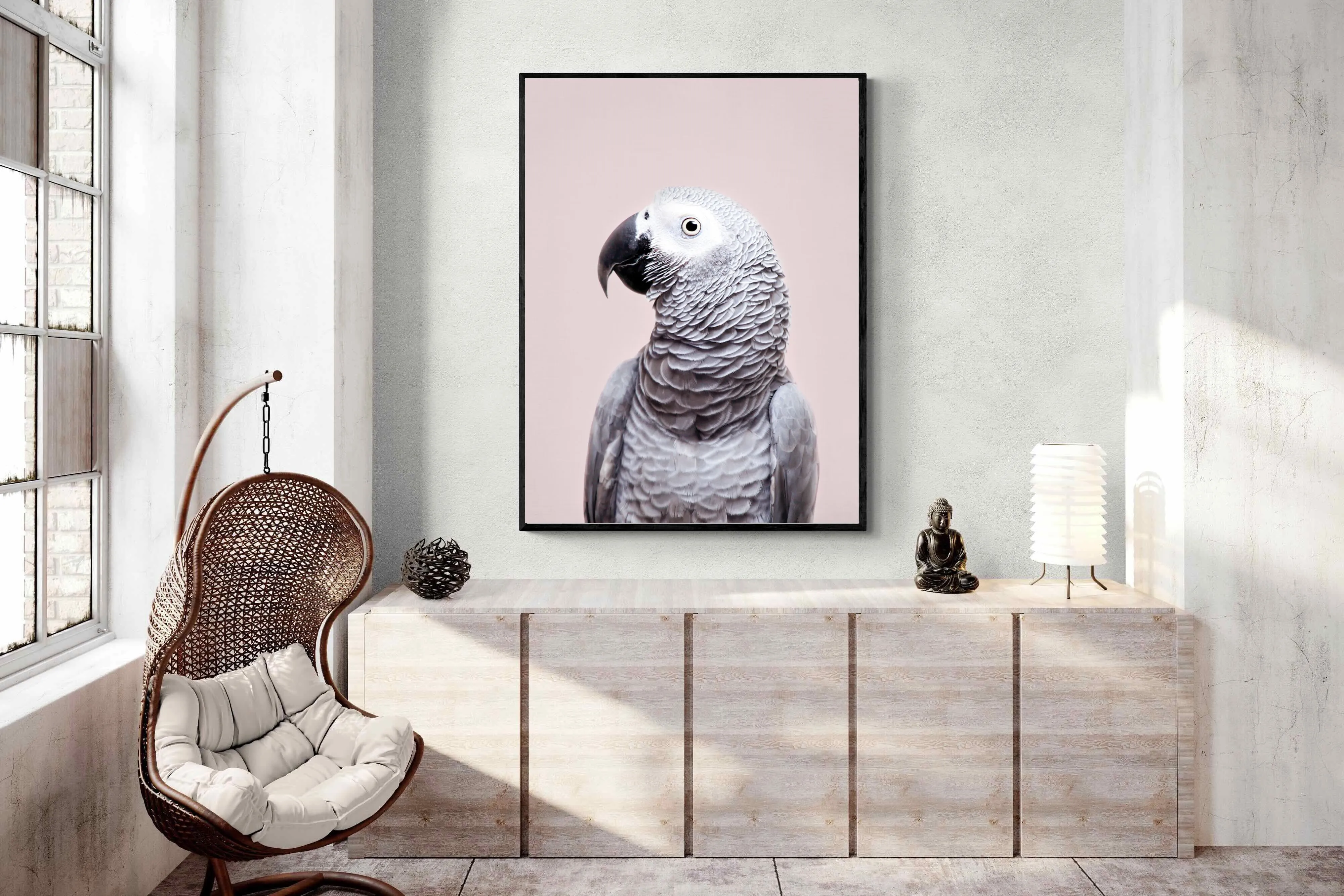 African Grey