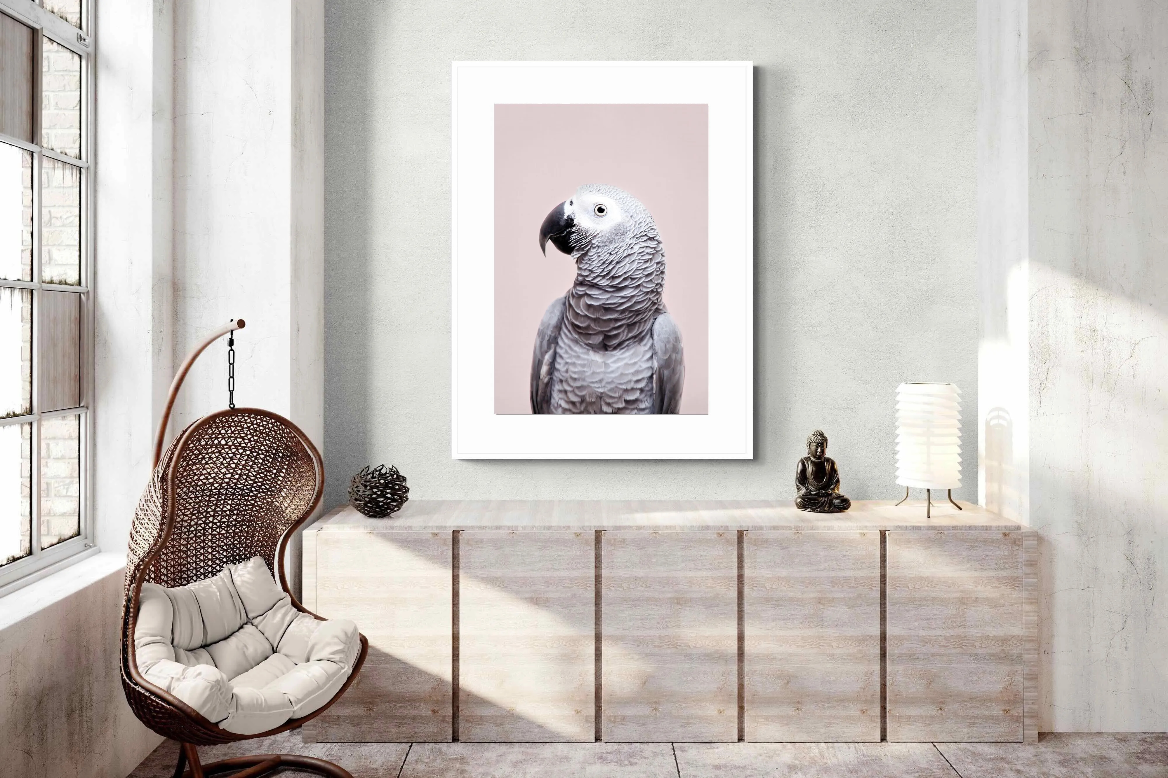 African Grey