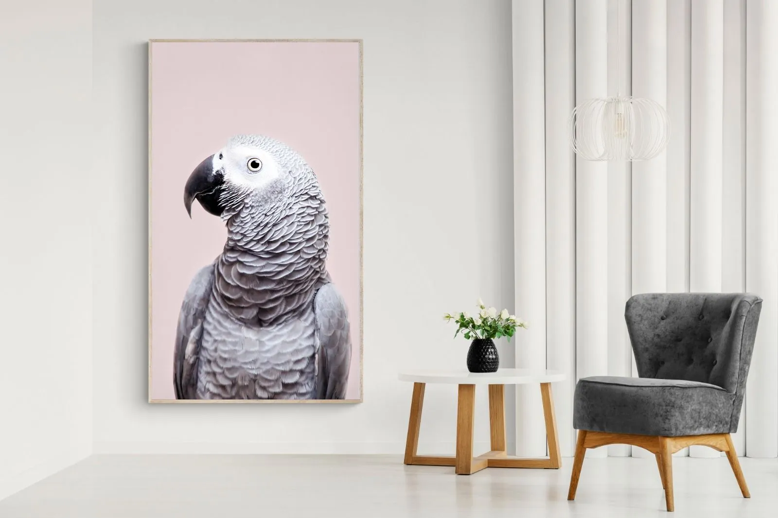 African Grey