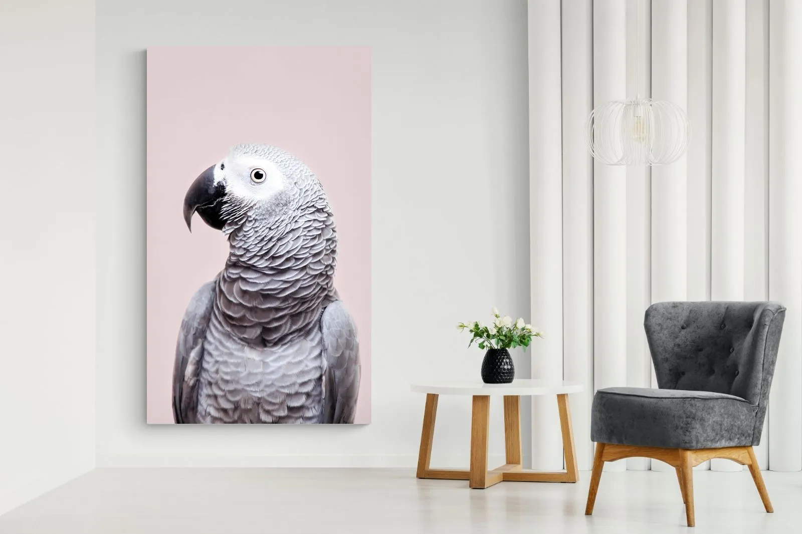 African Grey