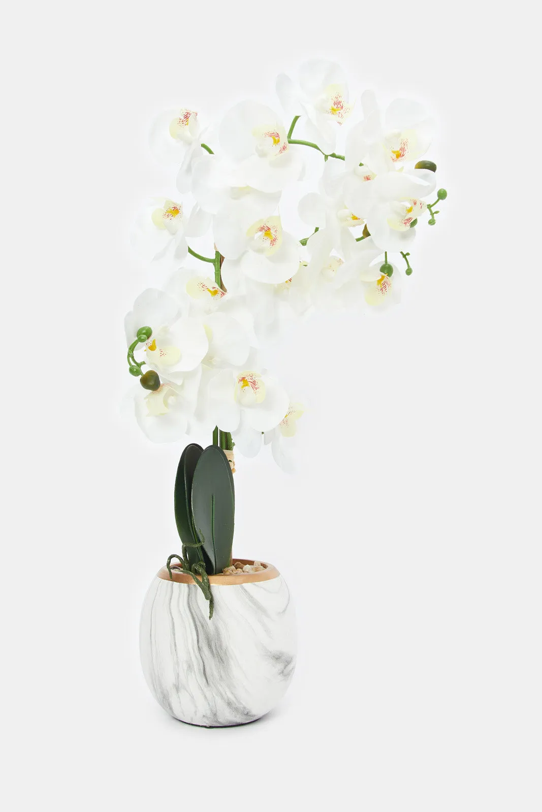 Artificial Orchid In Ceramic Marble Vase