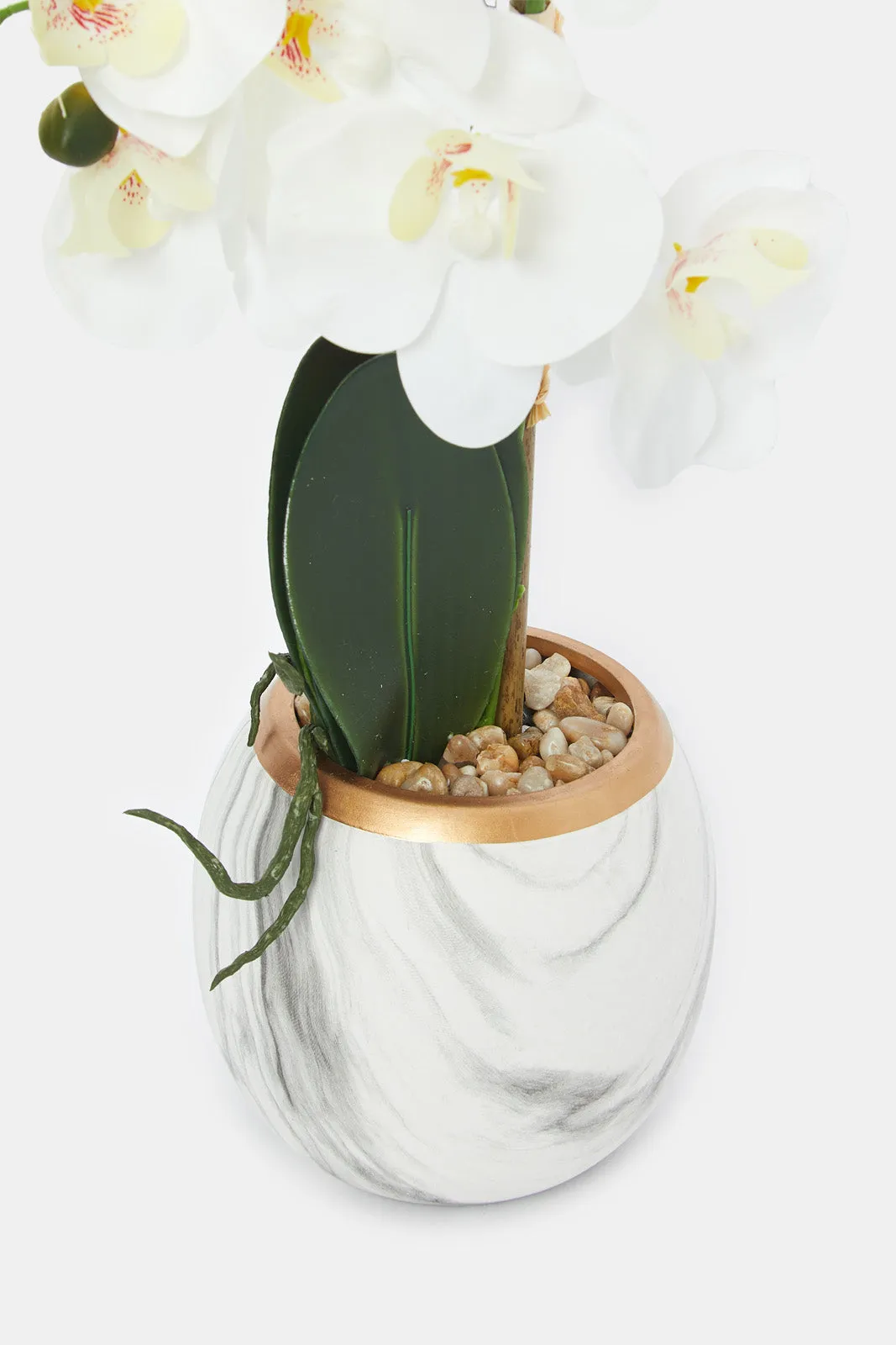 Artificial Orchid In Ceramic Marble Vase