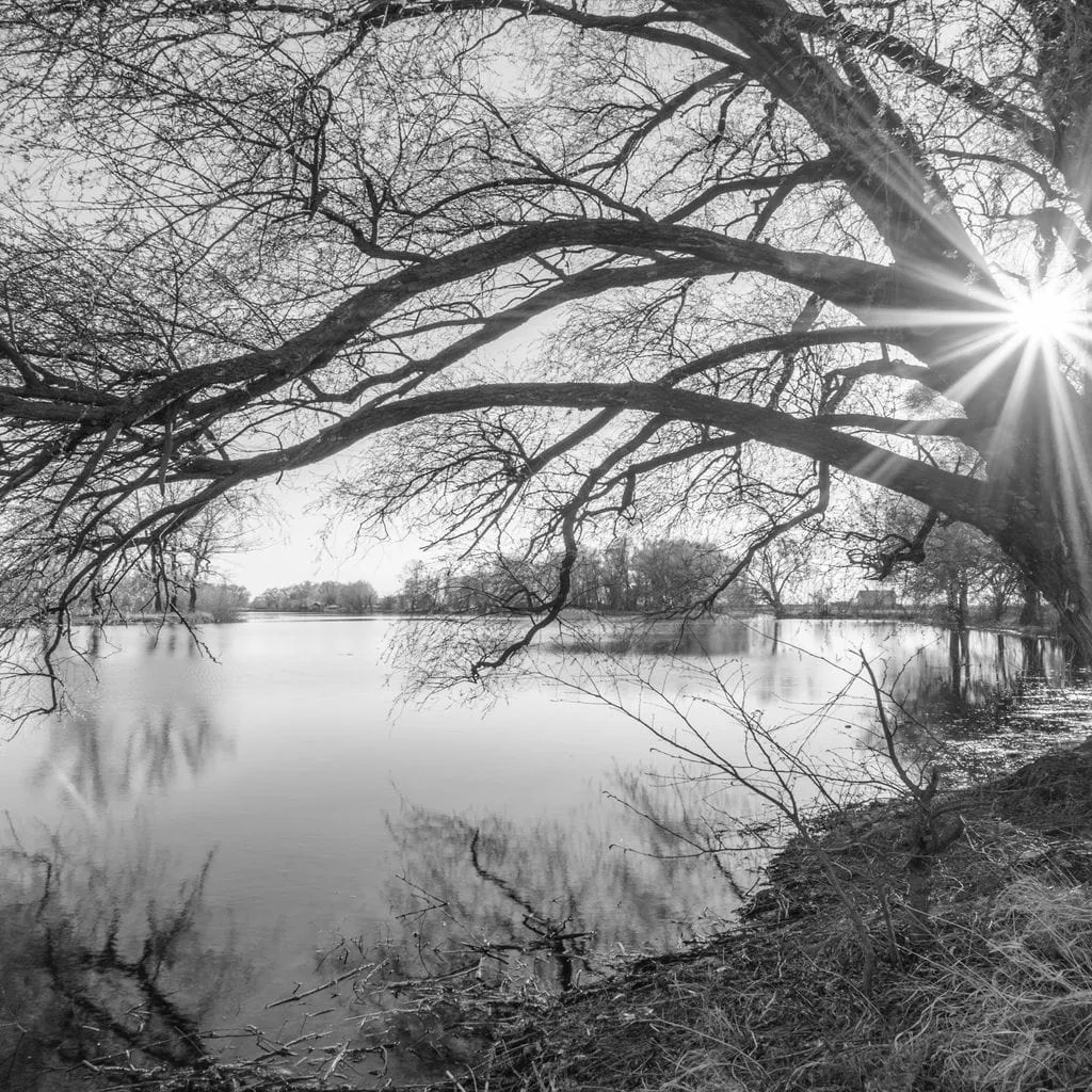 Black & White Lake