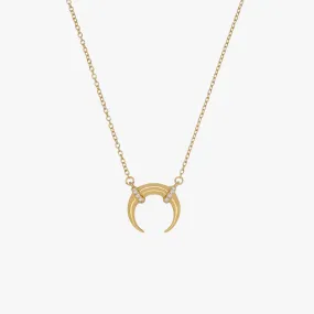 Luxe Horn Necklace