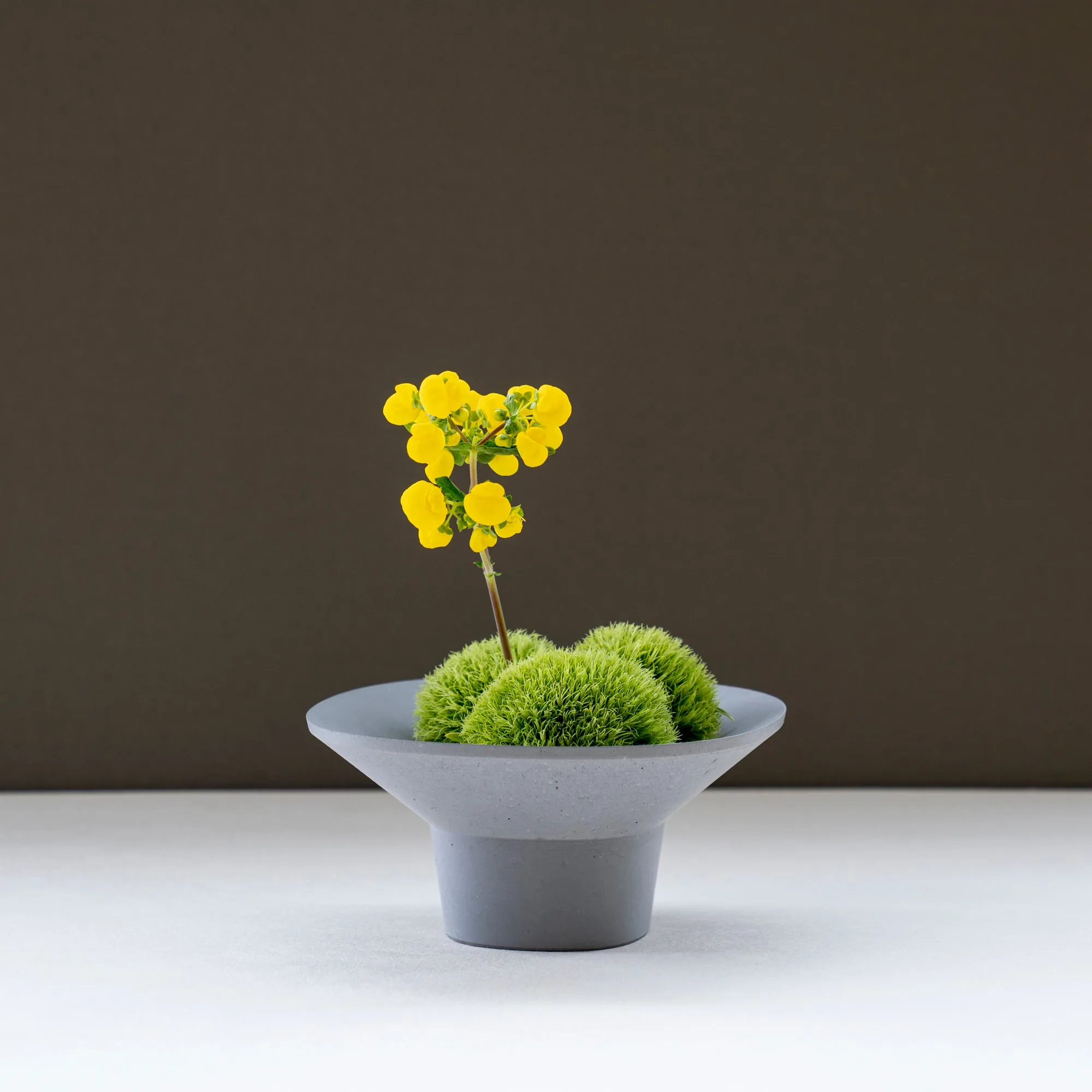 Superellipse flower tray - concrete grey